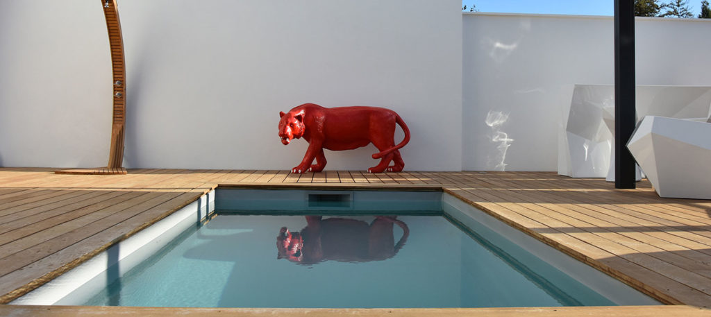 petite piscine rectangulaire