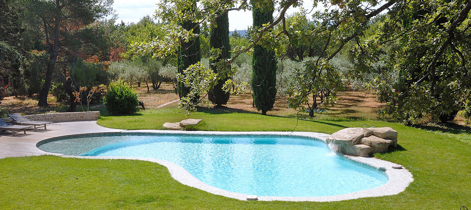 Piscine forme libre avec plage immergée & enrochement