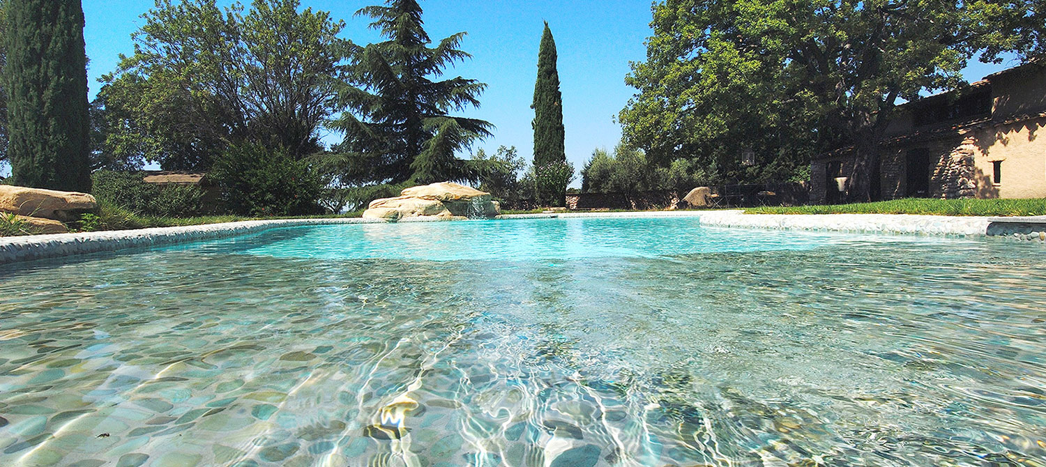 Piscine Forme Libre Avec Plage Immergée Et Enrochement