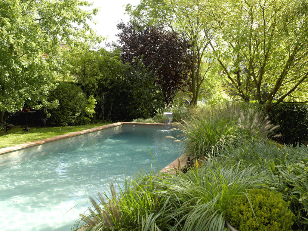 piscine nature végétation