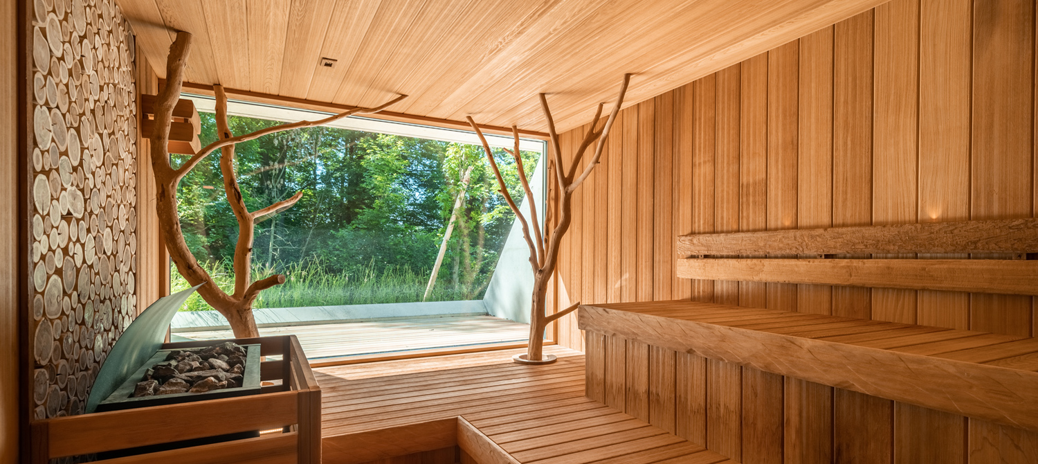 sauna bois wellness suisse nicollier