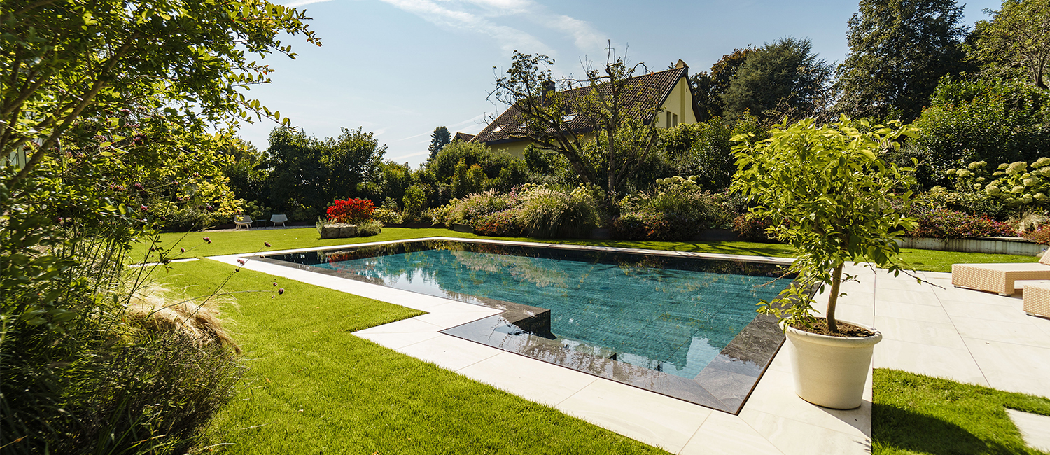Harmonie parfaite : piscine miroir, jardin et architecture